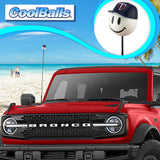 Minnesota Twins MLB Baseball Car Antenna Topper