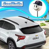 Minnesota Twins MLB Baseball Car Antenna Topper