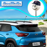 Minnesota Twins MLB Baseball Car Antenna Topper