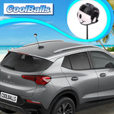 Anaheim Ducks Car Antenna Topper (NHL Hockey)