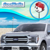 Coyotes Car Antenna Topper (NHL Hockey)