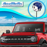 Vancouver Canucks Car Antenna Topper (NHL Hockey)