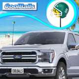 Michigan State Spartans Car Antenna Topper (College Football)