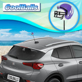 Northwestern Wildcats Car Antenna Topper (College Football) - Thin Antenna Fit