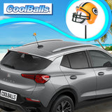 *Last One* Green Bay Packers Car Antenna Topper (NFL Football) - Thin Antenna Fit