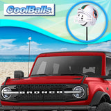 Miami Dolphins Car Antenna Topper (NFL Football)