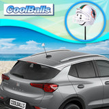 Miami Dolphins Car Antenna Topper (NFL Football)