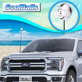 Miami Dolphins Car Antenna Topper (NFL Football)