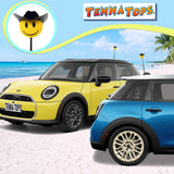 Tenna Tops Cowboy Car Antenna Topper - Thin Antenna Fit