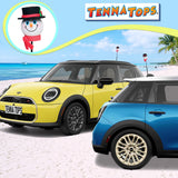 Tenna Tops Frosty the Snowman Antenna Topper - Thin Antenna Fit