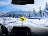 HappyBalls Birth Sign - Aquarius Car Antenna Topper / Mirror Dangler / Auto Dashboard Accessory