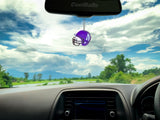 Northwestern Wildcats Car Antenna Topper / Mirror Dangler / Auto Dashboard Buddy (College Football)